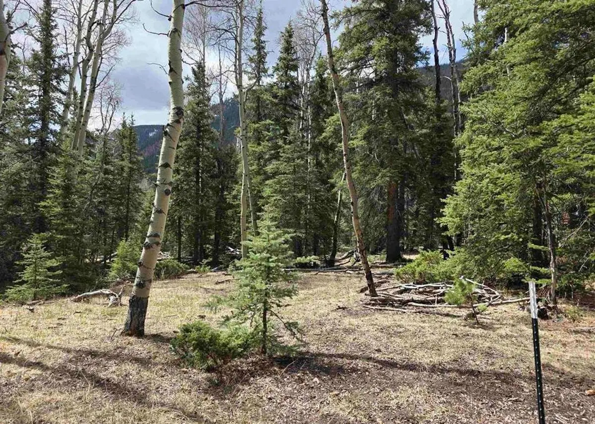 Green Homes for Sale - Jasper, Colorado Green Home