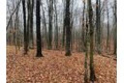 listing-thumbnails