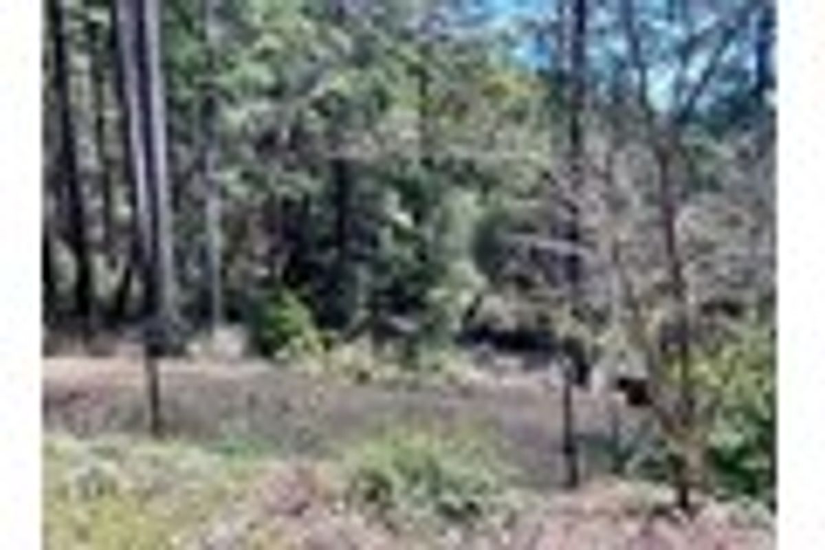 property-listing