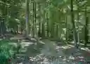 listing-thumbnails