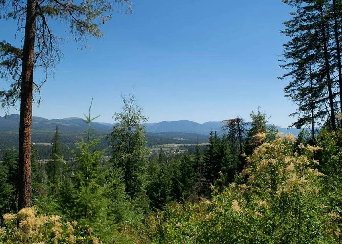 Green Homes for Sale - Careywood, Idaho Green Home