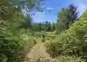 listing-thumbnails