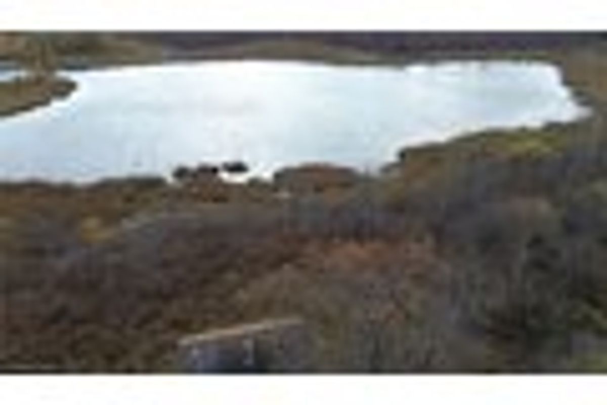 property-listing