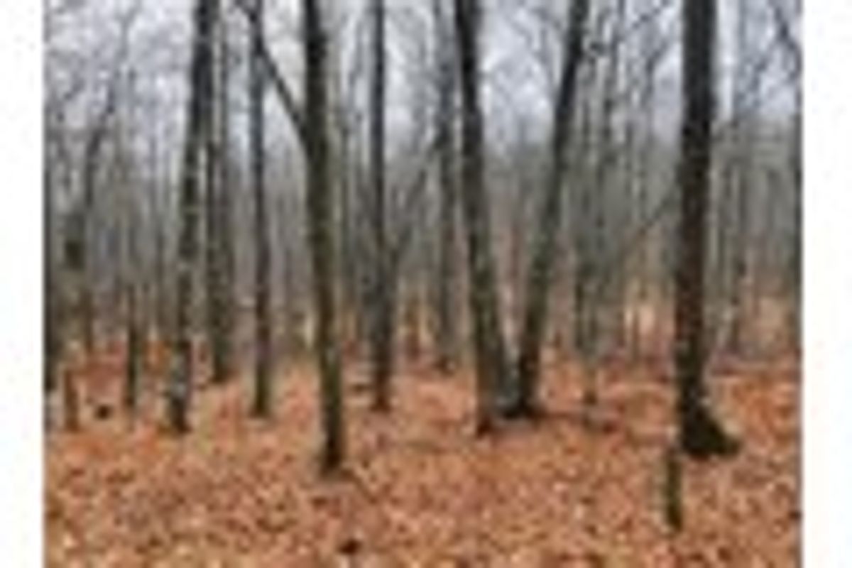 property-listing
