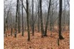 listing-thumbnails