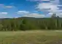 listing-thumbnails