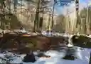 listing-thumbnails