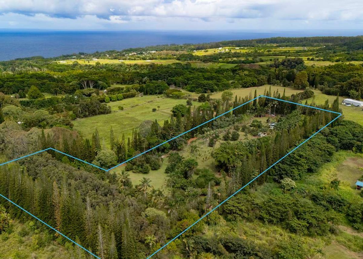 property-listing