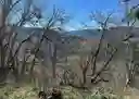 listing-thumbnails