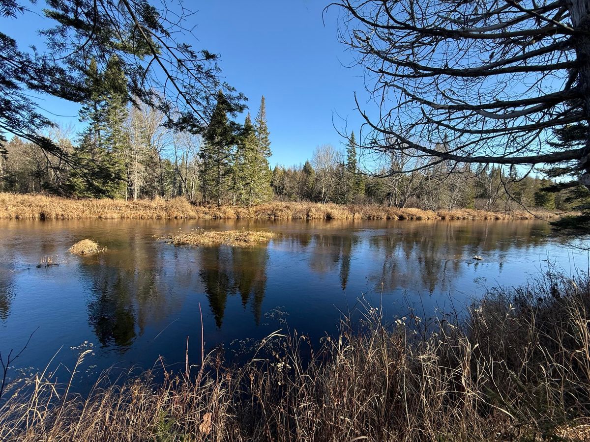 Green Homes for Sale - Wytopitlock, Maine Green Home