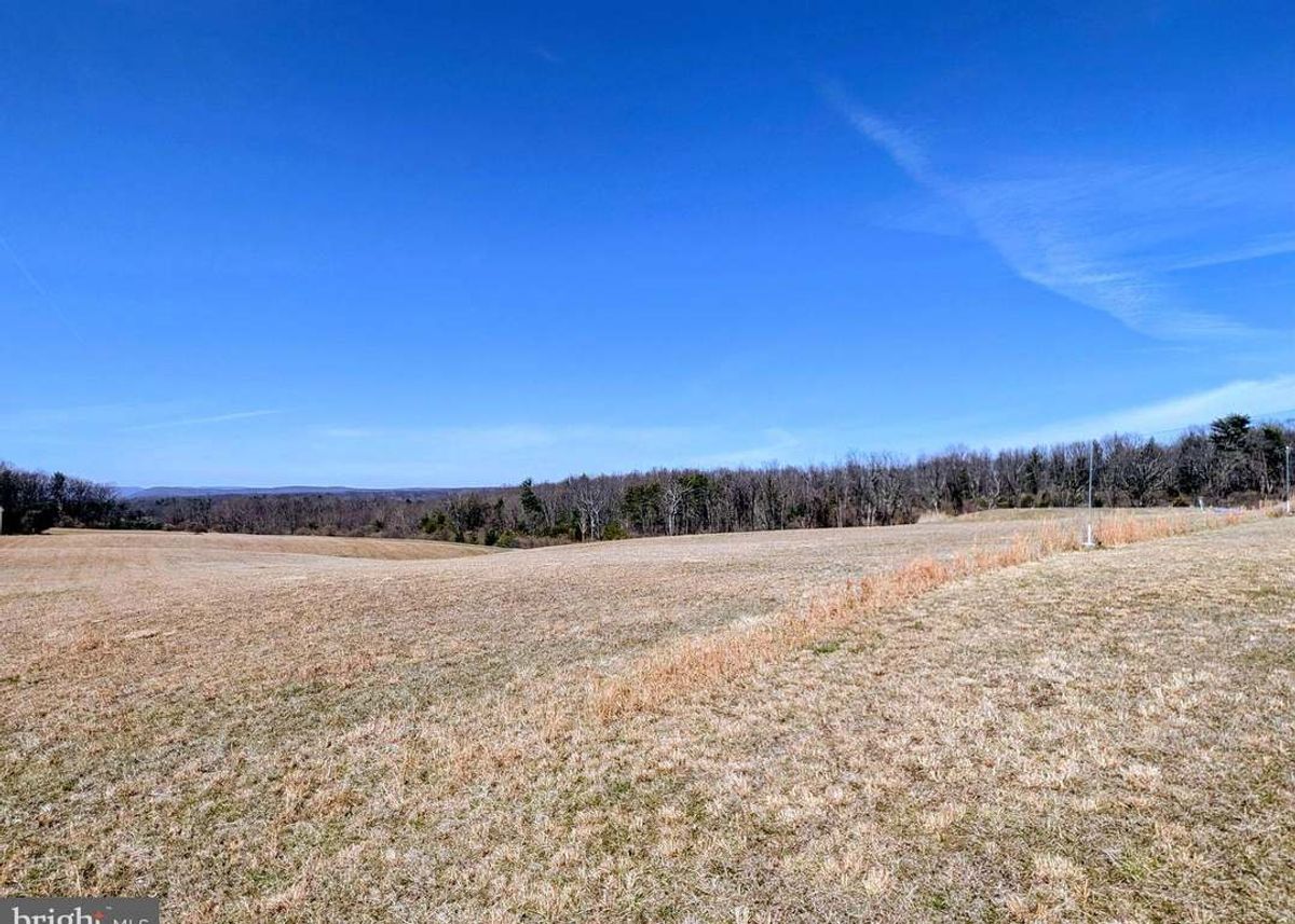 property-listing