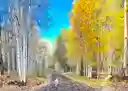 listing-thumbnails