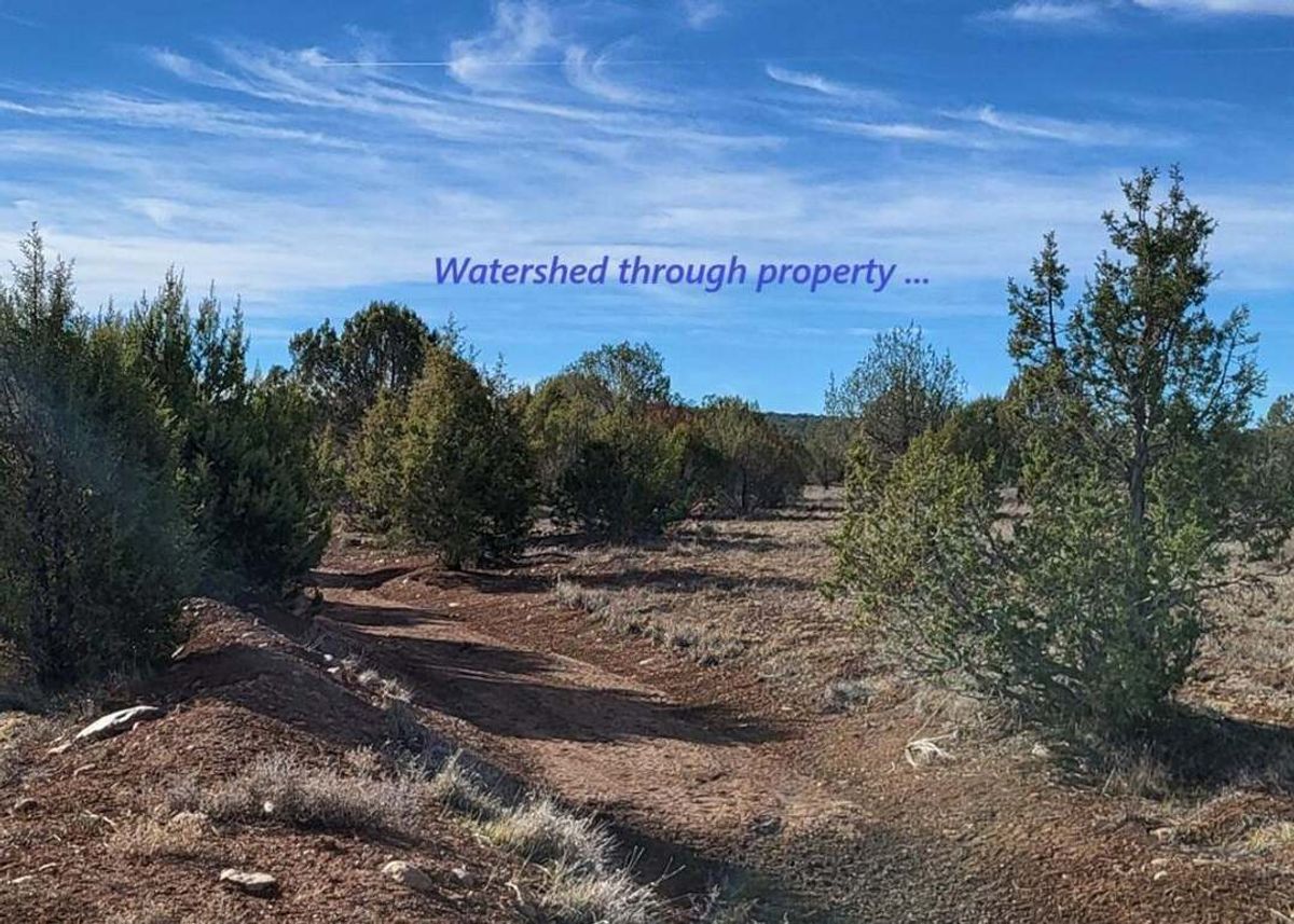 property-listing