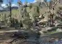 listing-thumbnails