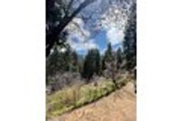 listing-thumbnails
