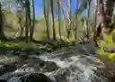 listing-thumbnails