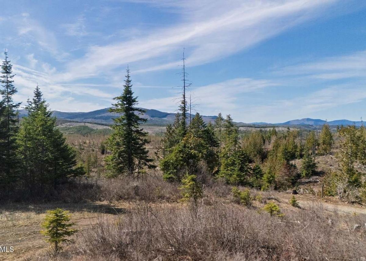 property-listing