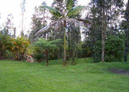 listing-thumbnails