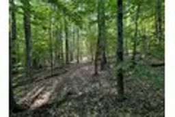 listing-thumbnails