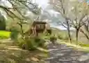 listing-thumbnails