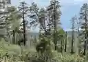 listing-thumbnails