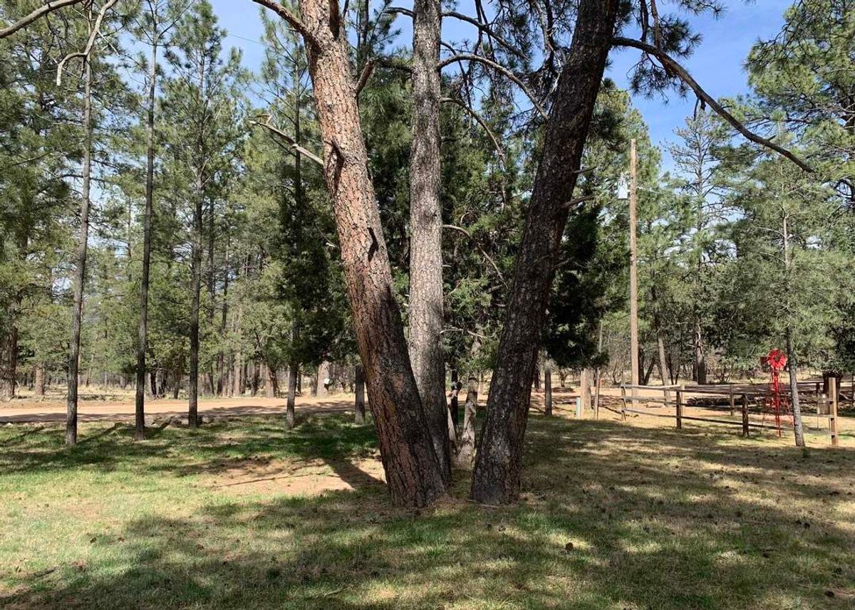 property-listing