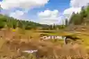 listing-thumbnails