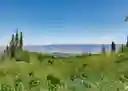 listing-thumbnails