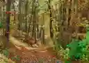 listing-thumbnails