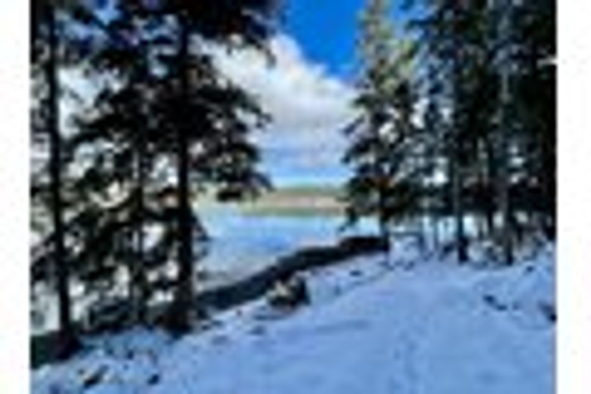 property-listing