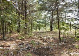listing-thumbnails