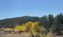listing-thumbnails