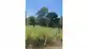 listing-thumbnails