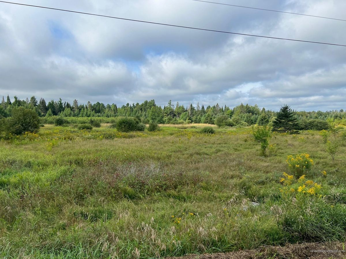 property-listing