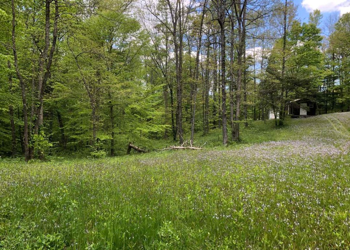 property-listing