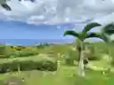listing-thumbnails