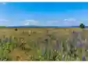 listing-thumbnails