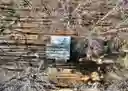 listing-thumbnails