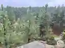 listing-thumbnails