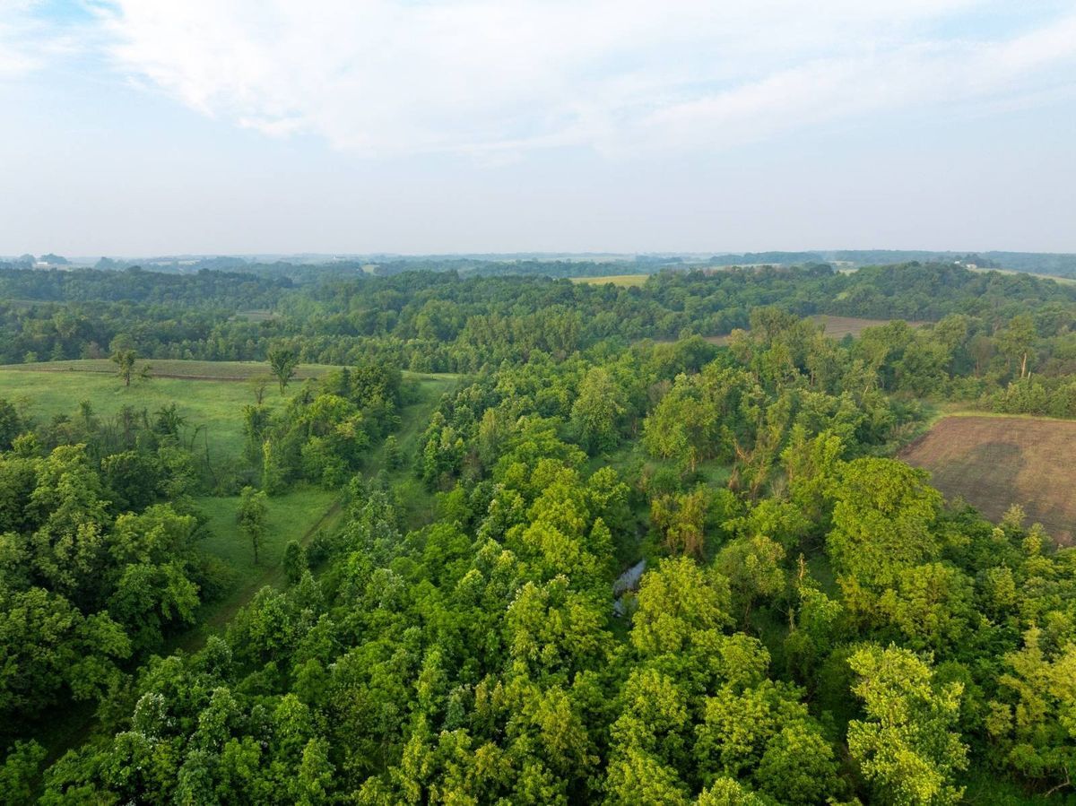 property-listing