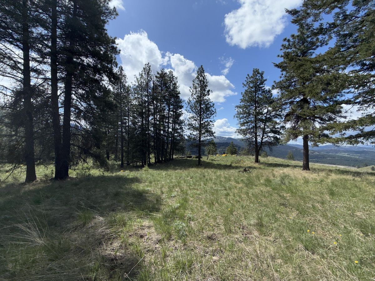 property-listing