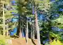 listing-thumbnails