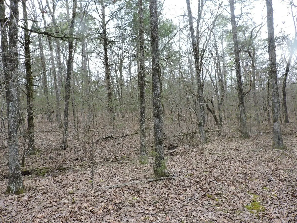 property-listing