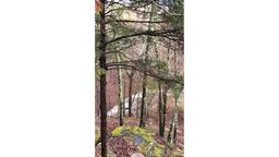 listing-thumbnails