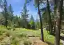 listing-thumbnails
