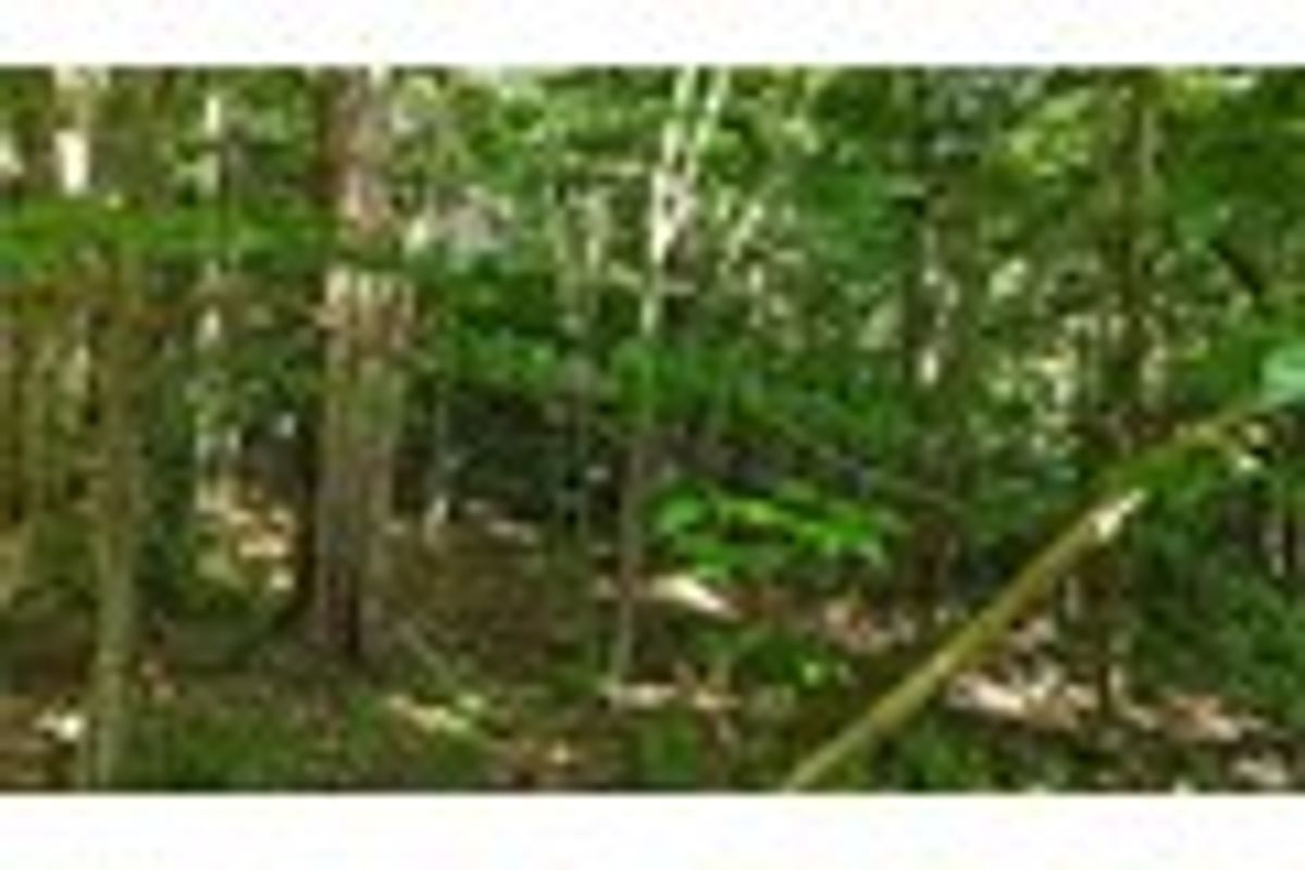 property-listing