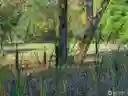listing-thumbnails