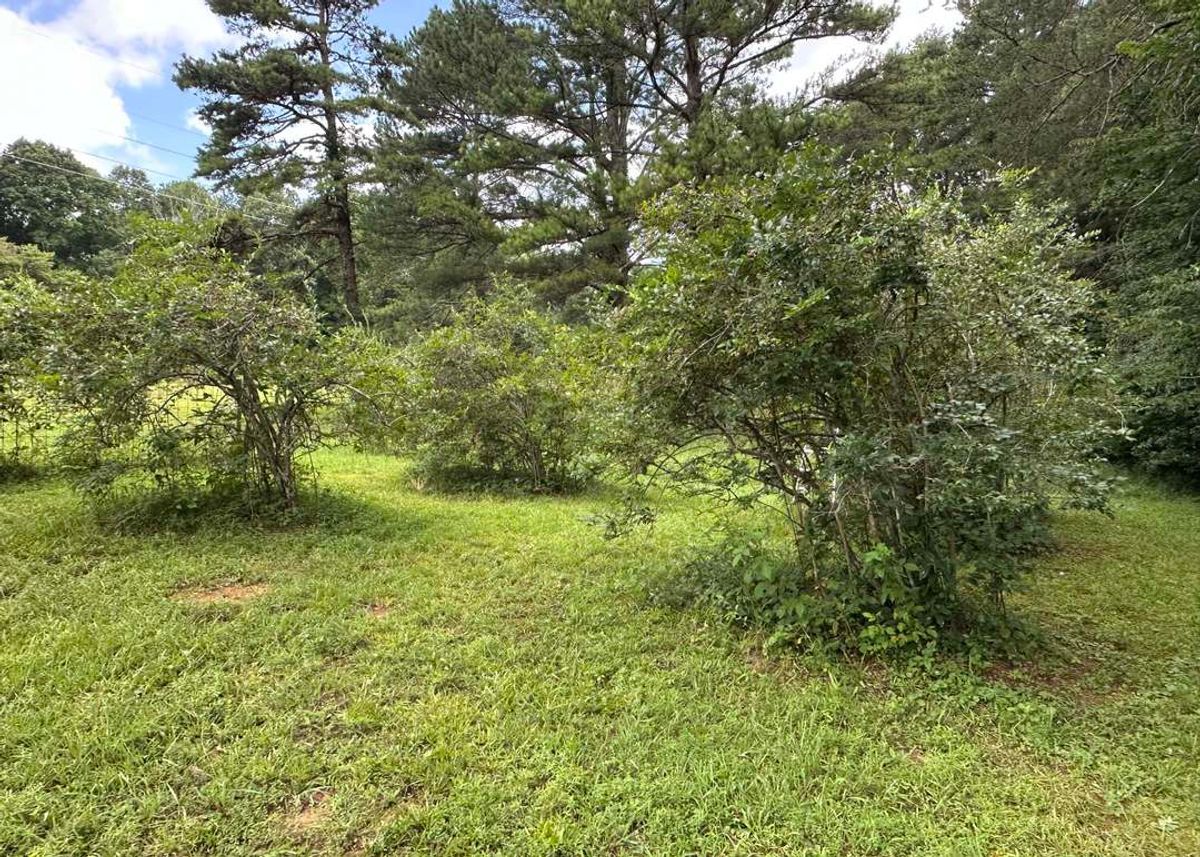 property-listing