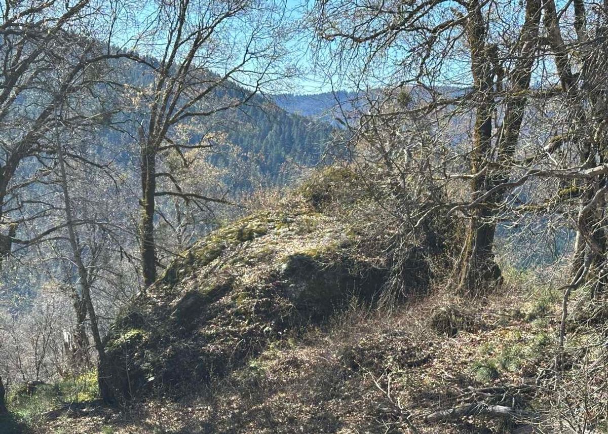 property-listing