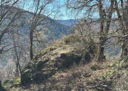 listing-thumbnails